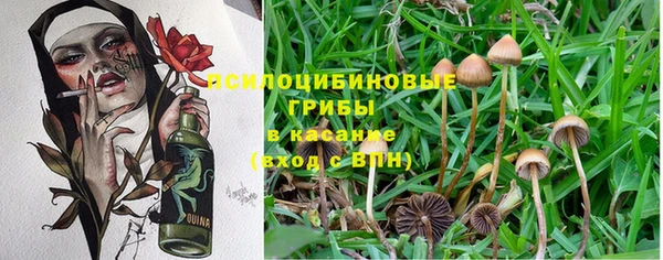 прущие крисы Богородицк