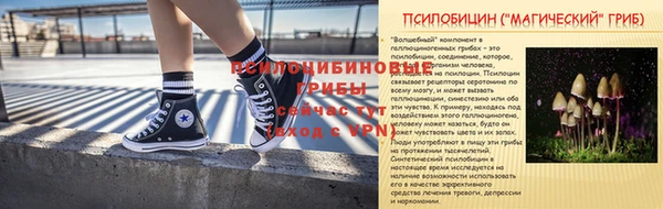 прущие крисы Богданович