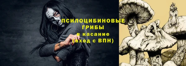 эйфоретик Белокуриха